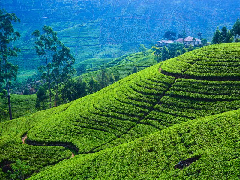 Welcome to Sri Lanka